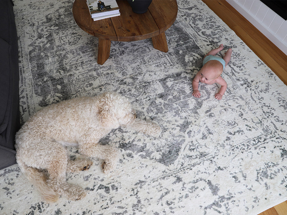 Yelina Cream and Grey Distressed Washable Rug - Image 7