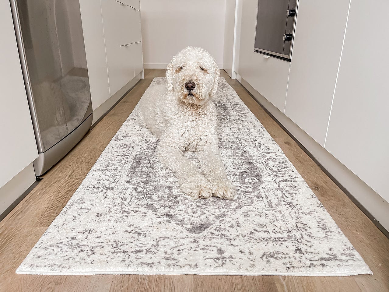 Yelina Cream and Grey Distressed Washable Runner Rug - Image 3